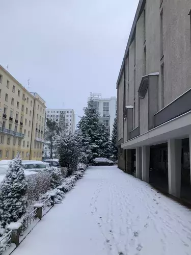 out-of-season. plik: tlusta-mewa-apartament-gdynia-out-of-season-poza-sezonem - 50.webp